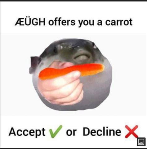will you accept his offer