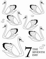 Christmas Days Coloring Scholastic Book Swans Swimming Seven Pages Printable Twelve Parents sketch template