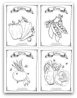 coloring pages  kids vegetable garden