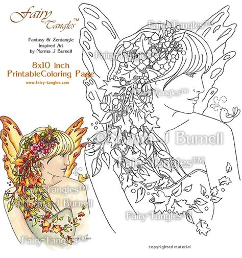 autumn fairy printable coloring book sheets  norma  burnell