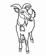 Goat Coloring Pages Eating Apple Mountain sketch template