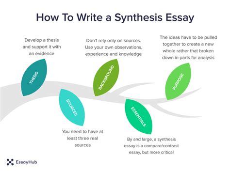 write  synthesis essay guide  essayhub