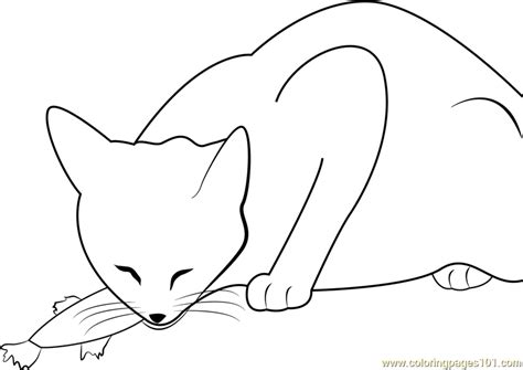 cat eats fish coloring page  cat coloring pages