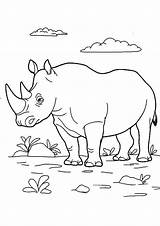 Momjunction Rinoceronte Colorear sketch template