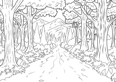 deciduous forest coloring pages  getdrawings