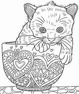 Coloring Pages Kitten Adult Adults Cat Cats Printable Colouring Cute Cup Zentangle Color Dog Sheets Book Blank Kids Teens Animal sketch template