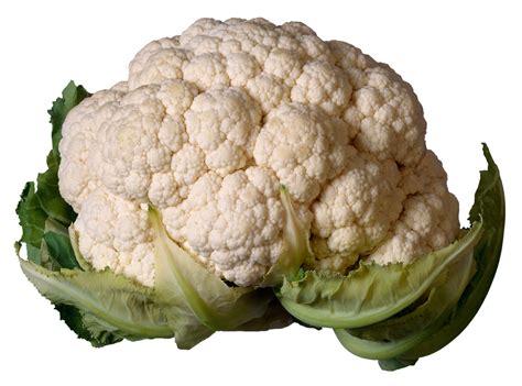 mind  god  cauliflower