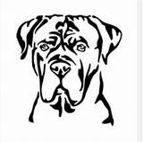 Corso Cane Chien Save Dog Coloring sketch template