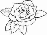 Coloring Pages Rose Red Getdrawings Kids Roses sketch template