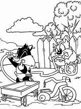 Taz Sylvester Looney Tunes Teasing Bugs Daffy Bunny sketch template