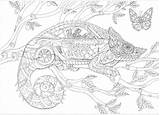 Coloring Pages Save Dover sketch template