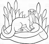 Otter Coloring Coloringbay sketch template