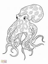 Octopus Intricate Octapus sketch template