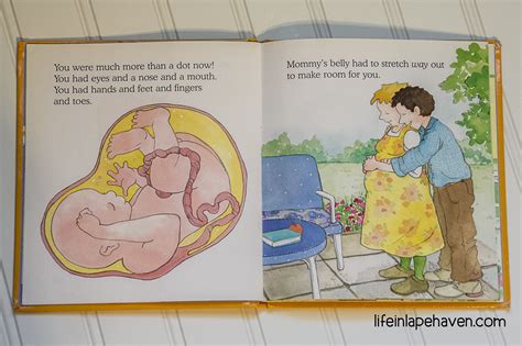 favorite childrens book  pregnancy babies life  lape haven