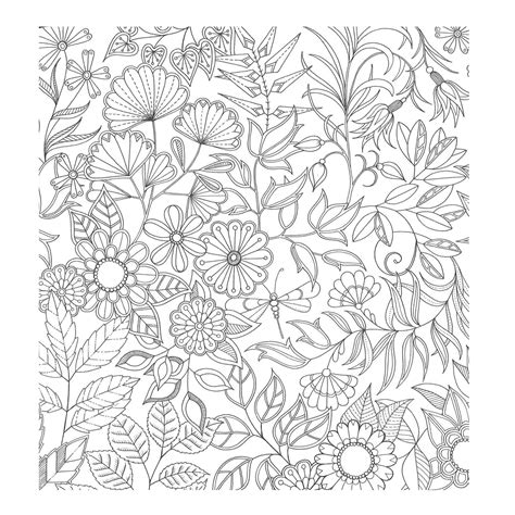 secret garden  coloring pages  getcoloringscom  printable