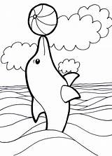Lumba Mewarnai Putih Diwarnai Delfini Belajar Pianetabambini Halaman Kumpulan Boyama Yunus Domar Dolphin Balık Sayfası Balığı Resmi Sketsa Sayfaları Hayvan sketch template