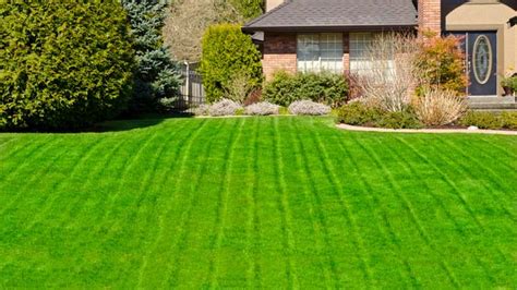 tips   luscious healthy lawn gardeners path