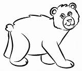 Bear Coloring Color Pages Animal Print Animals Back sketch template