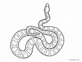 Ausmalbilder Schlange Snakes Schlangen Milk Ausdrucken Cool2bkids sketch template