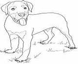 Dog Coloring Pages Puppy Cute Printable Rottweiler Print sketch template