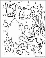Sea Pages Animals Coloring Kids Adults Color Oceans Seasons Nature sketch template