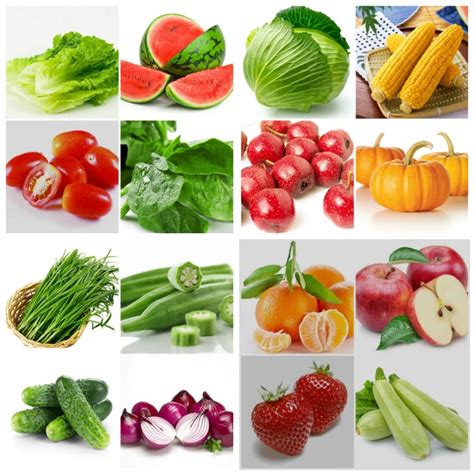 buy  kinds popular vegetable fruit seed  pcs