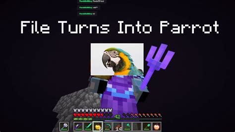 file turns   parrot youtube