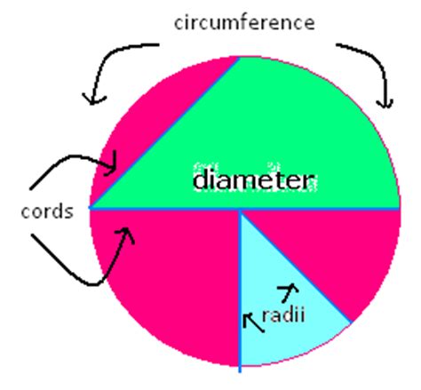geometry parts   circle  math homework