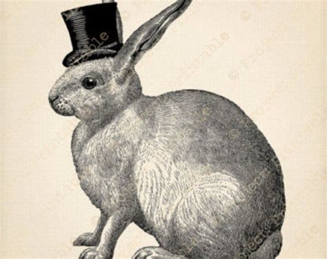 printable digital graphics vintage bunny rabbit fabric transfer