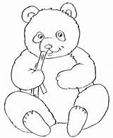 Panda Coloring Baby Pages Kids Eating Bamboo Cute Childrens sketch template