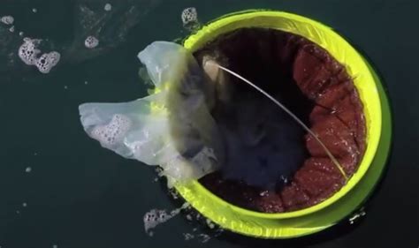 geniale idee schwimmender eimer saugt selbststaendig muell aus dem meer