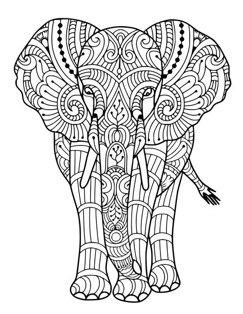 elephant coloring page etsy