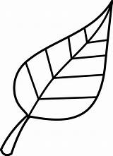 Leaf Clip Line Outline Leaves Color Lineart Colorable Drawing Spring Sweetclipart sketch template