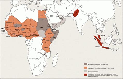 a balanced look at female genital “mutilation” sociological images