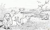 Manada Leones Colorear Singa Mewarnai Hienas Supercoloring Coloriages Hyenas Print Everfreecoloring Marimewarnai Ausmalbild Hyänen sketch template