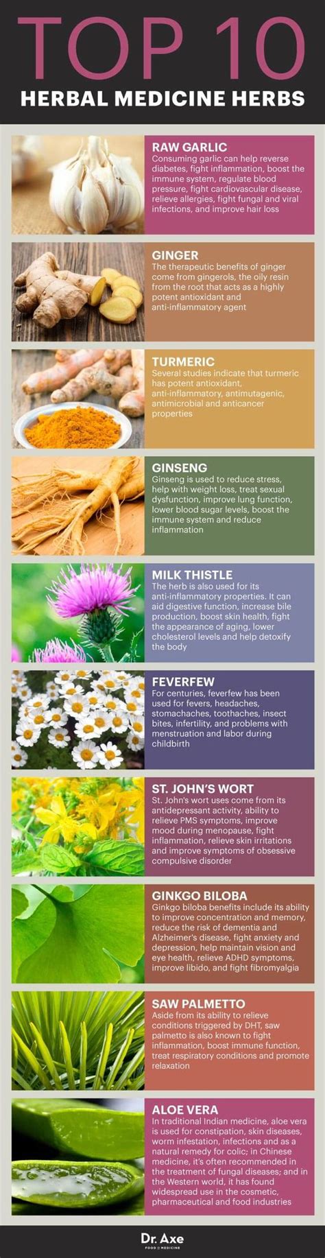top  herbal medicine herbs