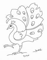 Peacock Coloring Pages Kids Easy sketch template
