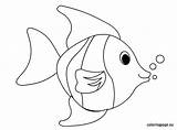 Fish Coloring Tropical Template Baby Pages Printable Color Templates Maybe Print Para Quilted Toy Use Choose Board Felt Peixe Infantil sketch template