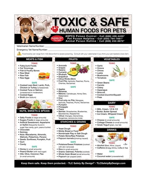 premium    toxic harmful  safe foods  pets fridge etsy
