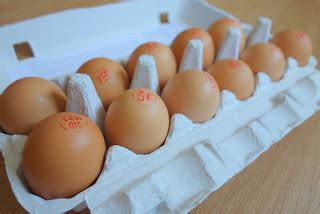 pasture living eggs  nutrition powerhouse
