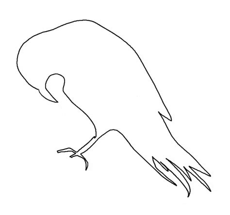 raven coloring page animals town animals color sheet raven