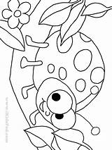 Ladybug Coloring Pages Printable Kids Print Color Cartoon Template Cute Cat Getdrawings Animals sketch template