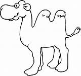 Ausmalbilder Kamele sketch template