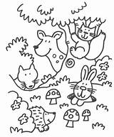 Coloring Forest Animals Pages Woodland Animal Cute Kids Color Sheets Printable Colouring Fall Worksheets Bosdieren Print Theme Kleurplaat Preschool Crafts sketch template