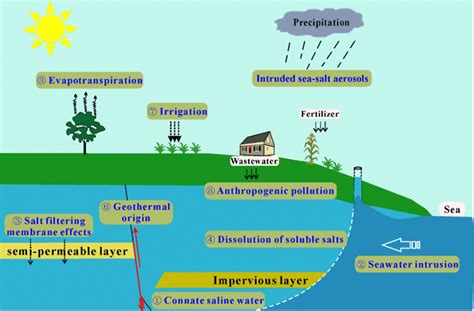 variety   sources  salinity  groundwater  connate