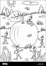 Ants Planning Coloring Busy Ripe Lying Joy Themed Autumn Alamy Ground Apple Five Summer sketch template