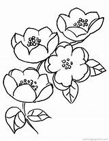 Japanese Flower Coloring Pages Flowers Printable Getcolorings Colo Color sketch template