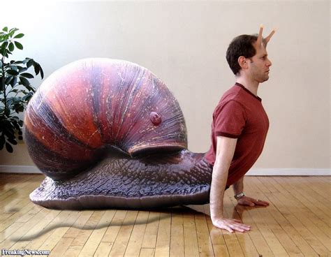 snail yoga pictures
