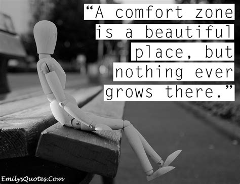 comfort zone   beautiful place    grows