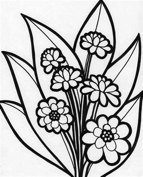 picture  beautiful blooming flower coloring page kids play color